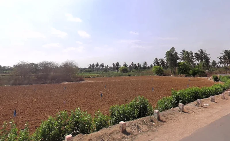 Agricultural Land in Yelachamanahalli, jadagenahalli(hoskote), Bengaluru-rural