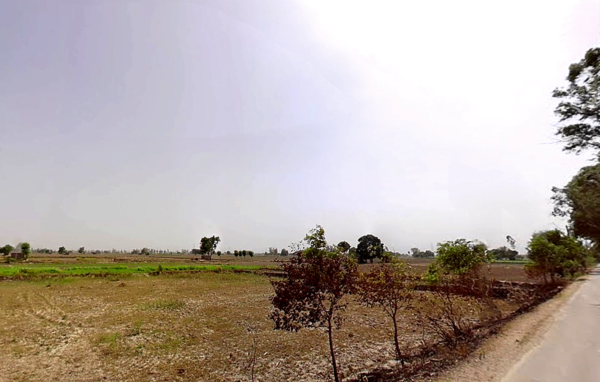 Bapauli, Haryana 132104, India