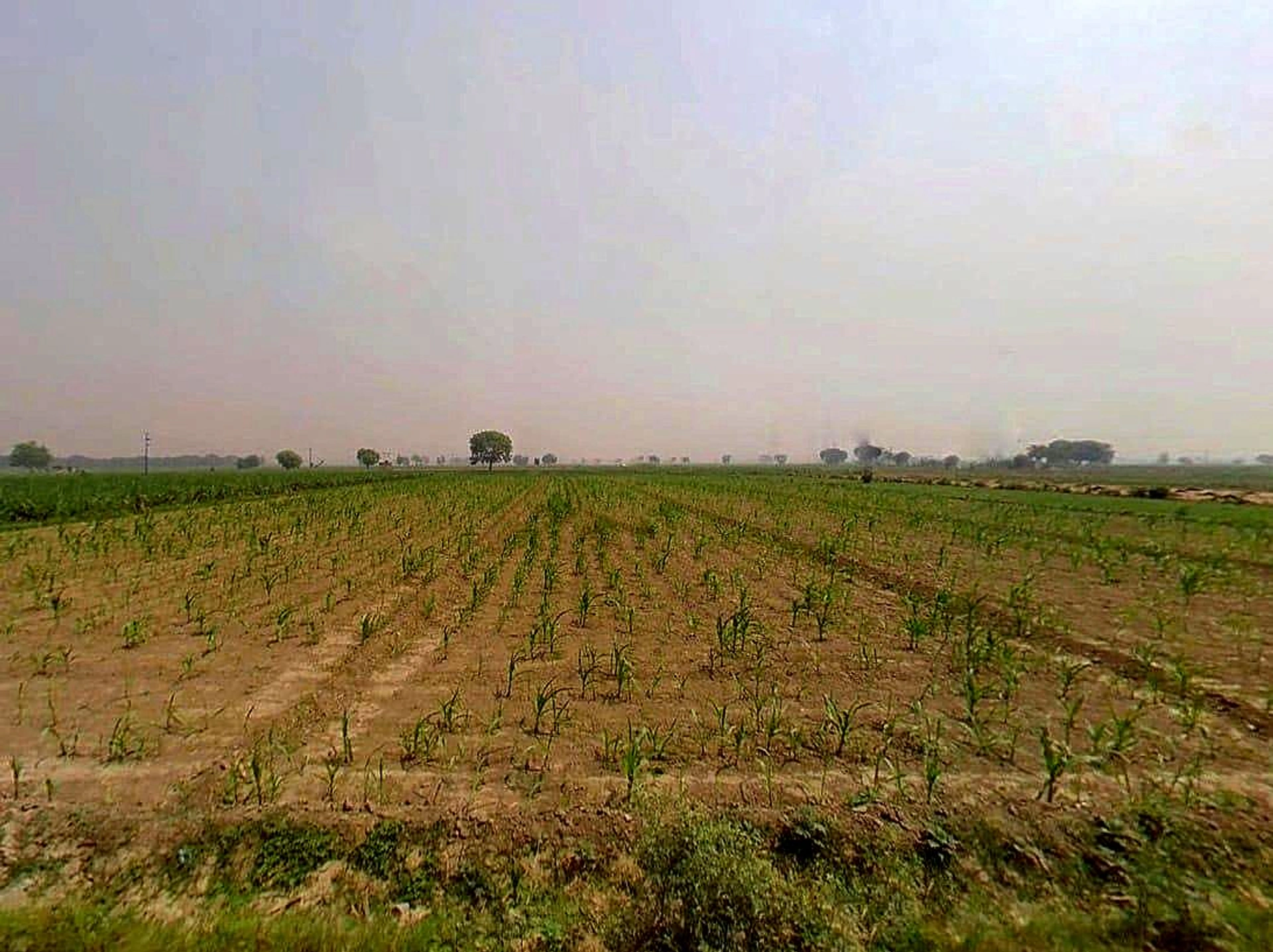 Jogipura, Uttar Pradesh 245206, India