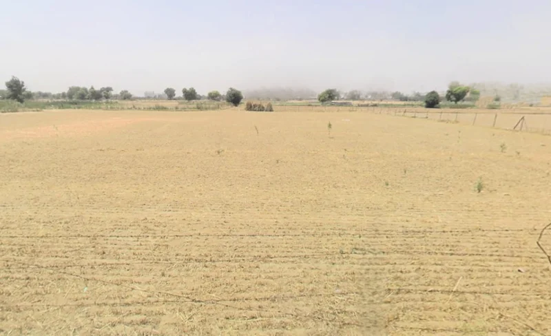 Darbaripur, Sector 75, Gurugram, Haryana 122101, India preview 3