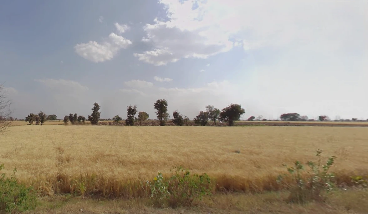 Agricultural Land in Barasat, near - duttapukur police station, North-24-parganas