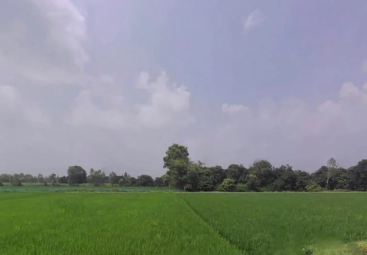 Madhotanda, Uttar Pradesh 262122, India preview 3