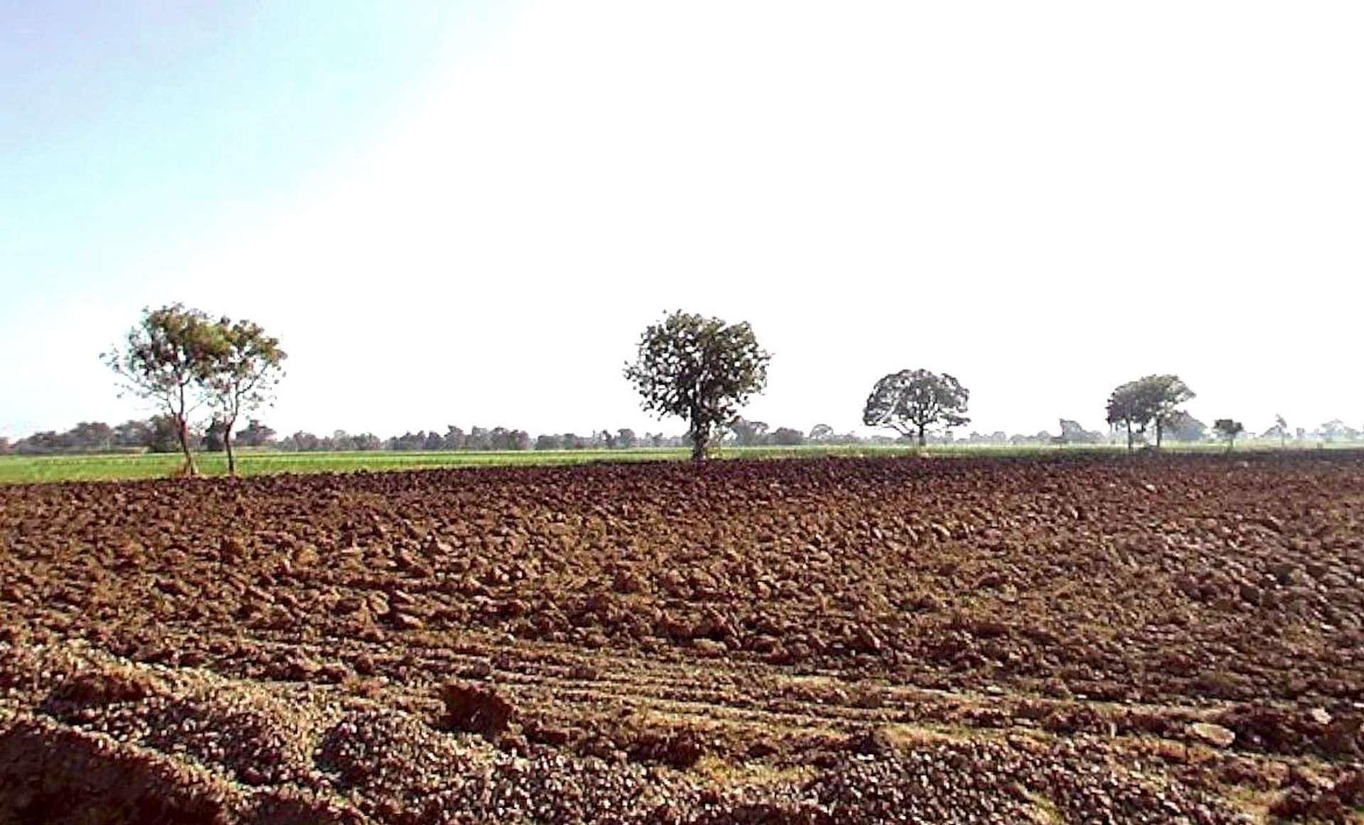 Huzur, Madhya Pradesh 462001, India