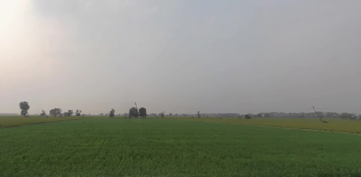 Tranja, Gujarat 387530, India