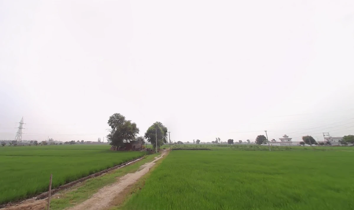 Agricultural Land in Tohana, Fatehabad