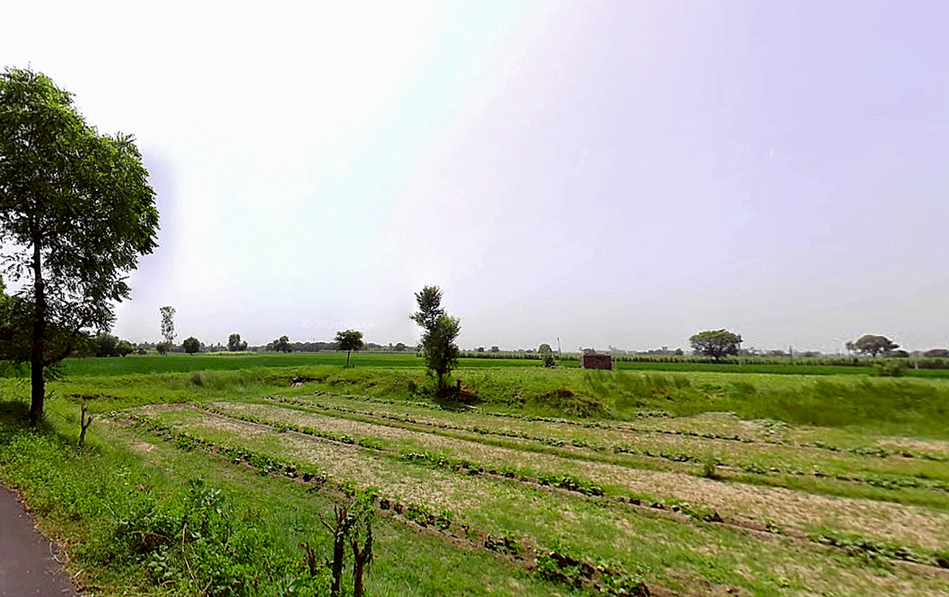 Jorasi, Haryana 132101, India