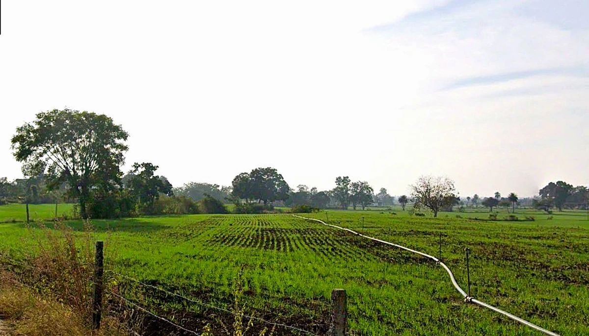 Agricultural Land in Rehti, Sehore