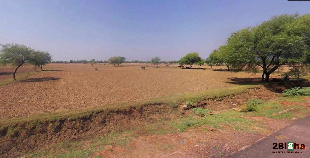 Muskara, Uttar Pradesh 210506, India