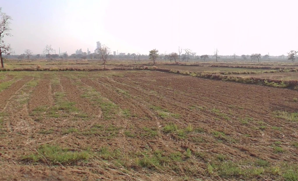 Aurethi, Chhattisgarh 493101, India