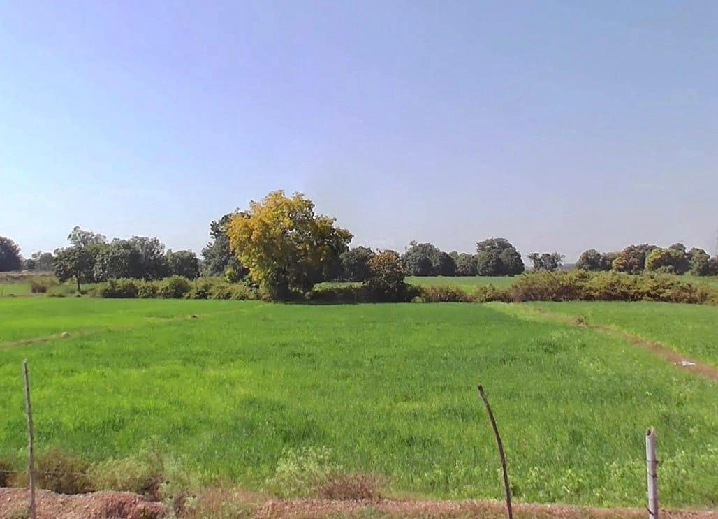 Mukundpur, Madhya Pradesh, India