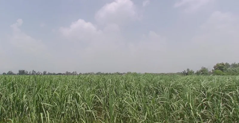 Kashipur, Uttar Pradesh, India preview 3