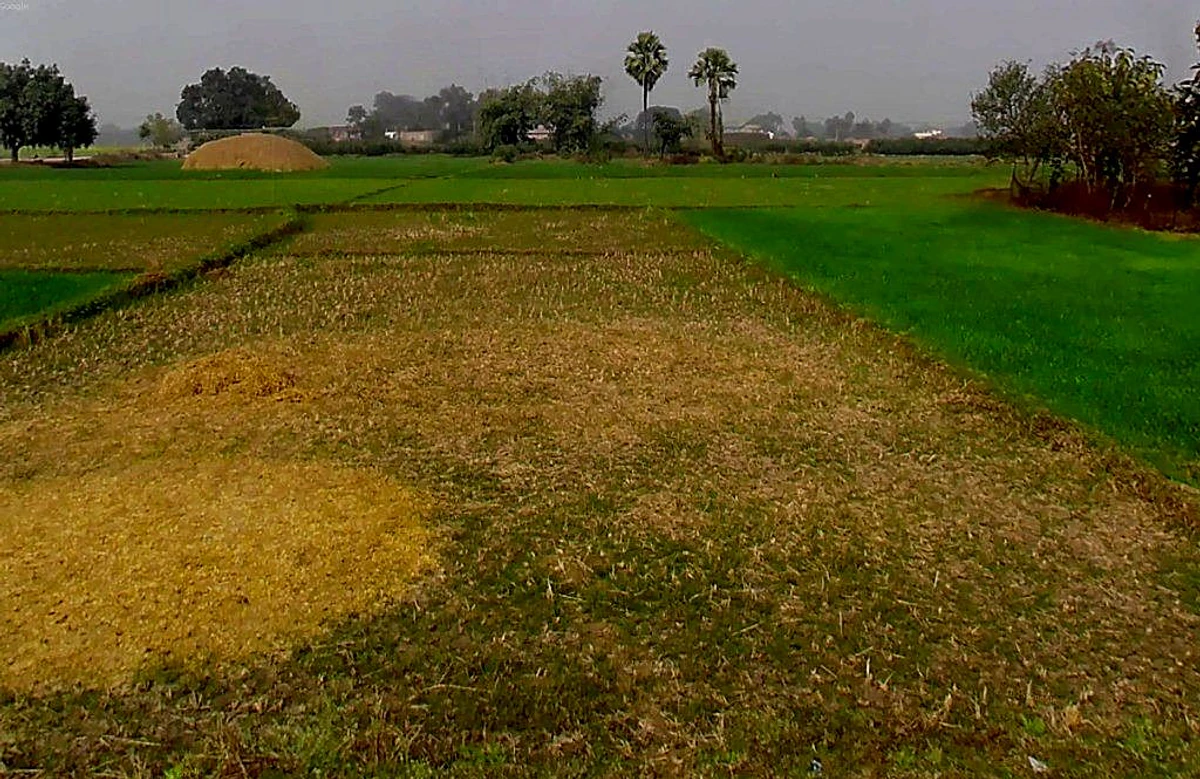 Anandgaon, Chhattisgarh 491332, India