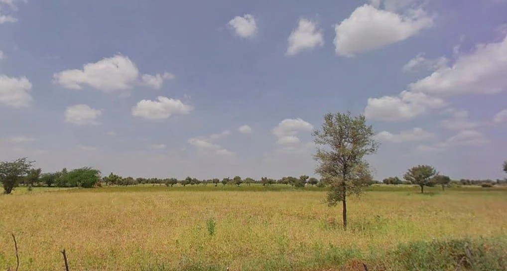 Bhadana, Rajasthan 341026, India