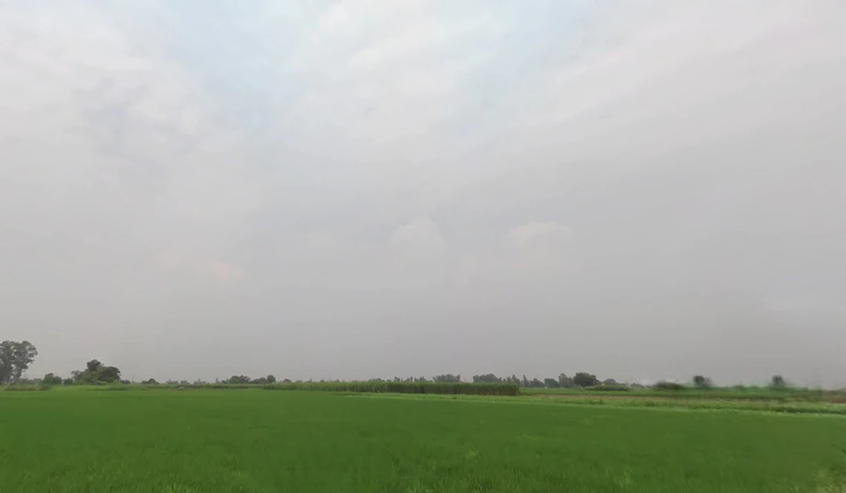 Katani Kalan, Punjab 141113, India