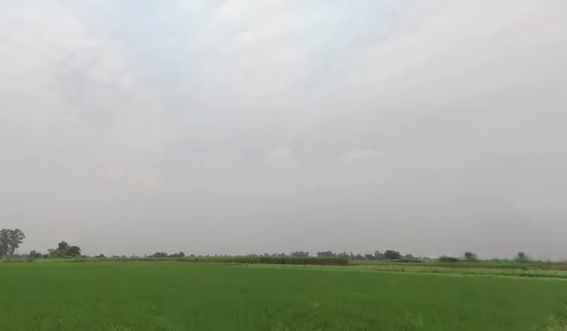 Katani Kalan, Punjab 141113, India preview 2