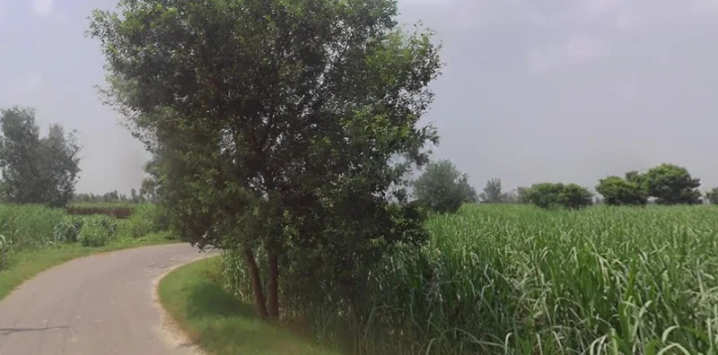 Kashipur, Uttar Pradesh, India preview 2