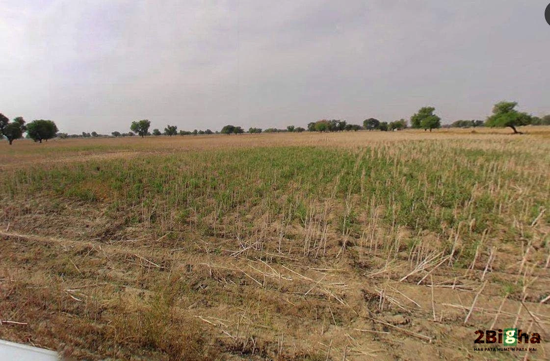 Muskara, Uttar Pradesh 210506, India