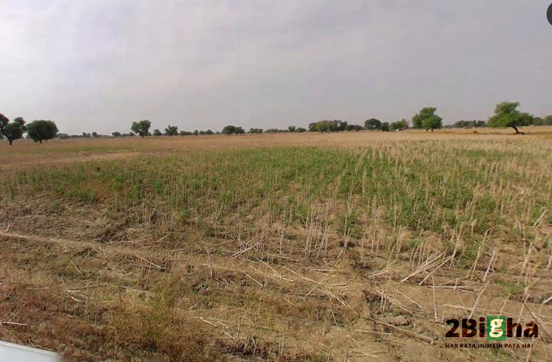 Muskara, Uttar Pradesh 210506, India preview 3