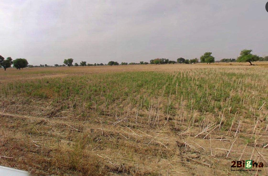 Muskara, Uttar Pradesh 210506, India