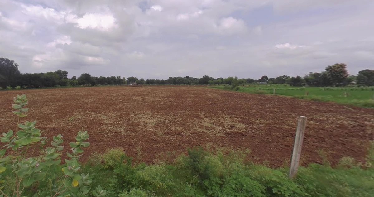 Chekhla, Gujarat 382115, India