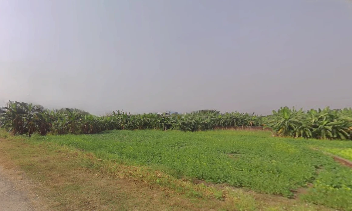 Action Area III, Chotto Chandpur, Newtown, New Town, West Bengal, India