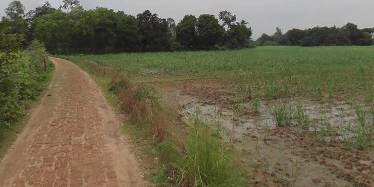 Maholi, Uttar Pradesh 261141, India