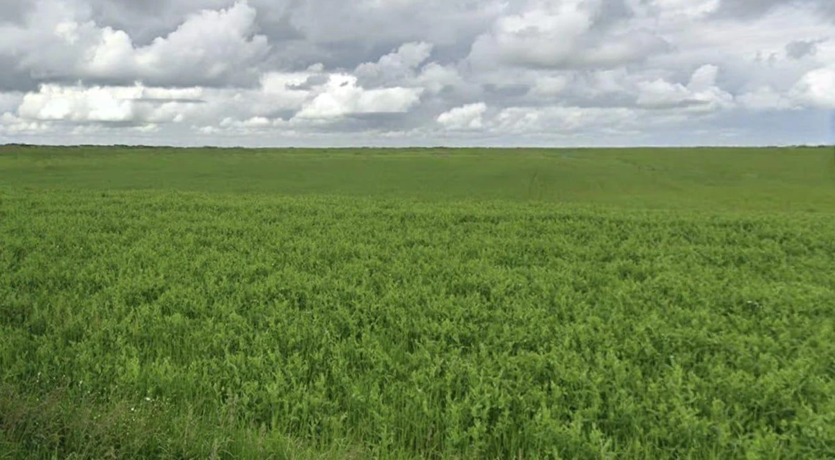 Agricultural Land in Sitamau , Mandsaur