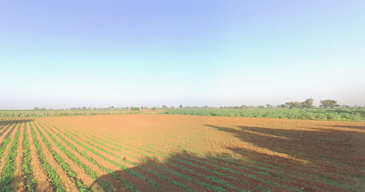 Sachana, Gujarat, India