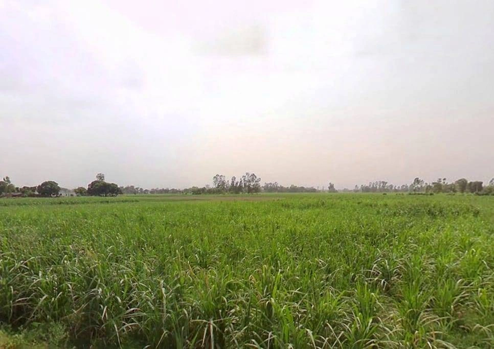 767G+WW Mandanpur T. Sujanpur, Uttar Pradesh, India