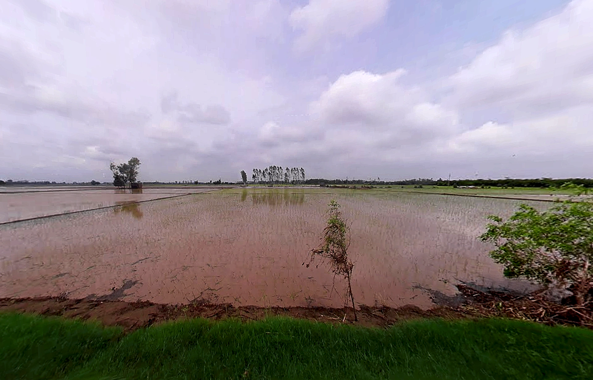 Bopur, Haryana 136034, India
