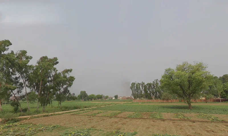 Kashipur, Uttarakhand 244713, India