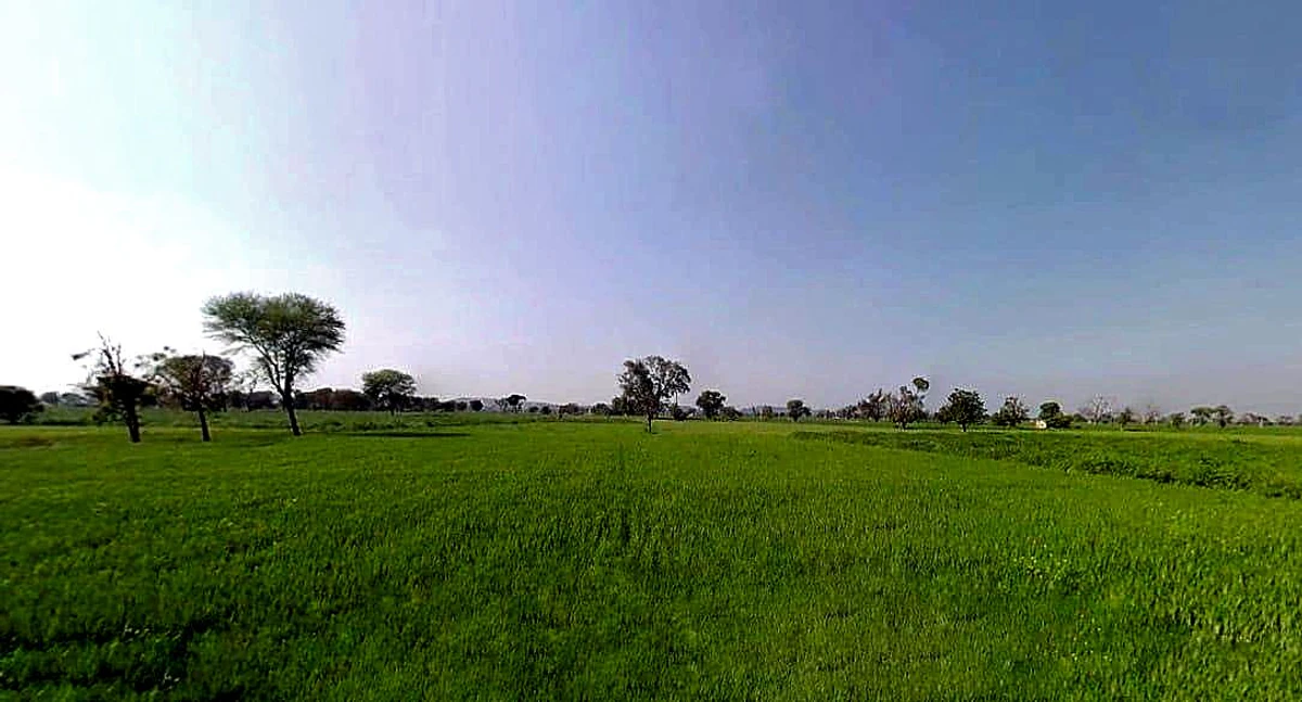 Milkpur, Rajasthan 301026, India