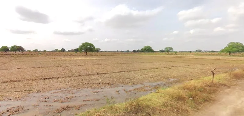 Muskara, Uttar Pradesh 210506, India preview 3