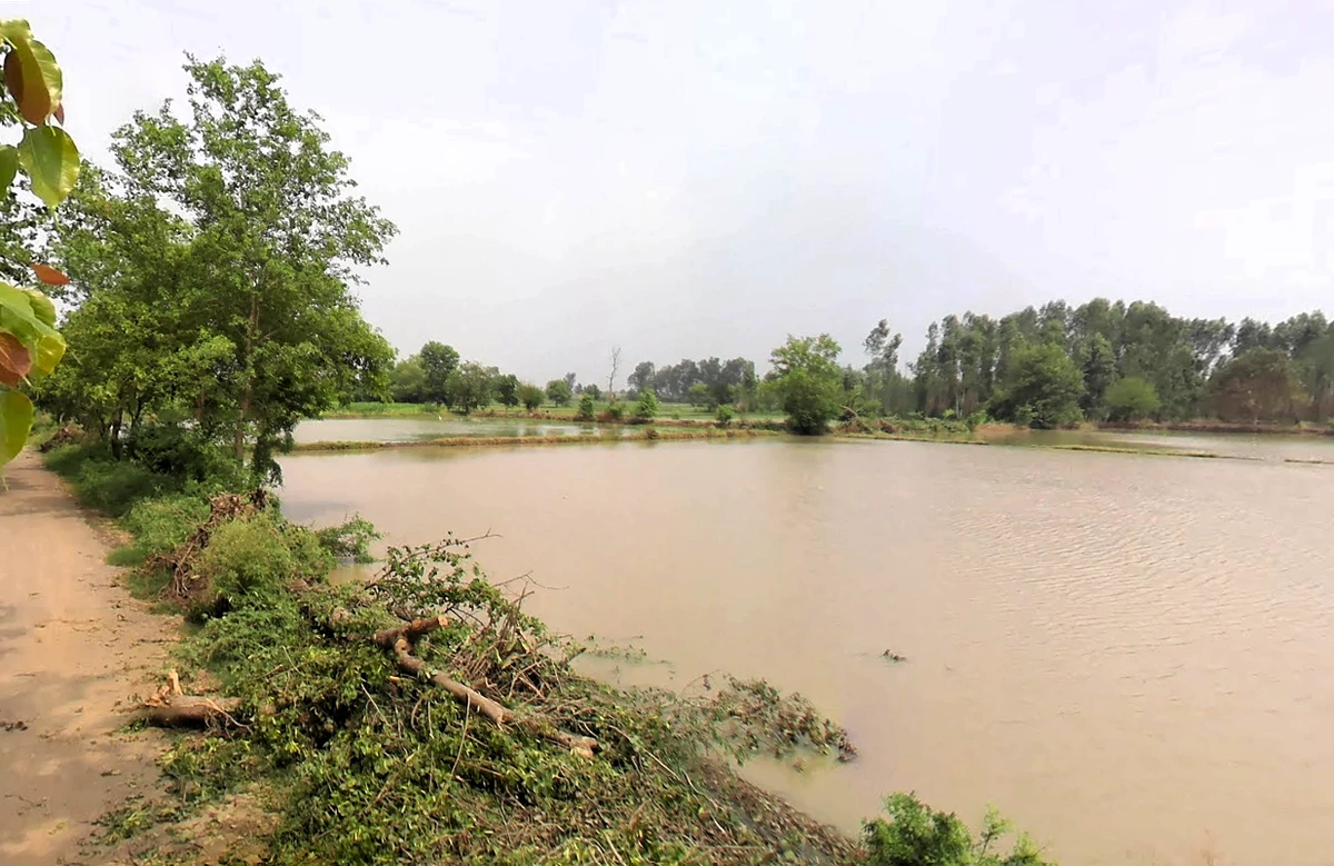 Pahrawar, Haryana 124021, India