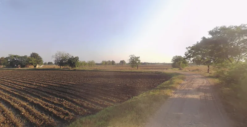 Agricultural Land in Matar/parsantaj, Kheda