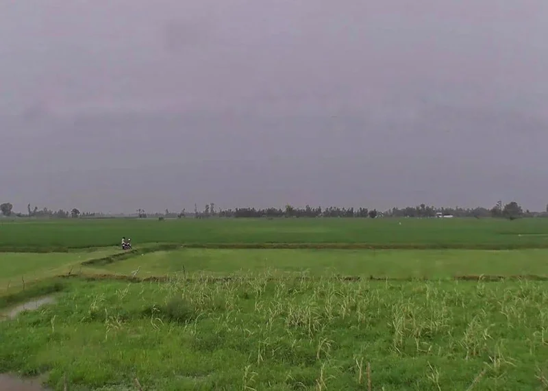 Navdiya, Uttar Pradesh 242042, India preview 3