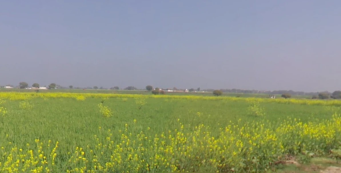 Bhitarwar, Madhya Pradesh 475220, India