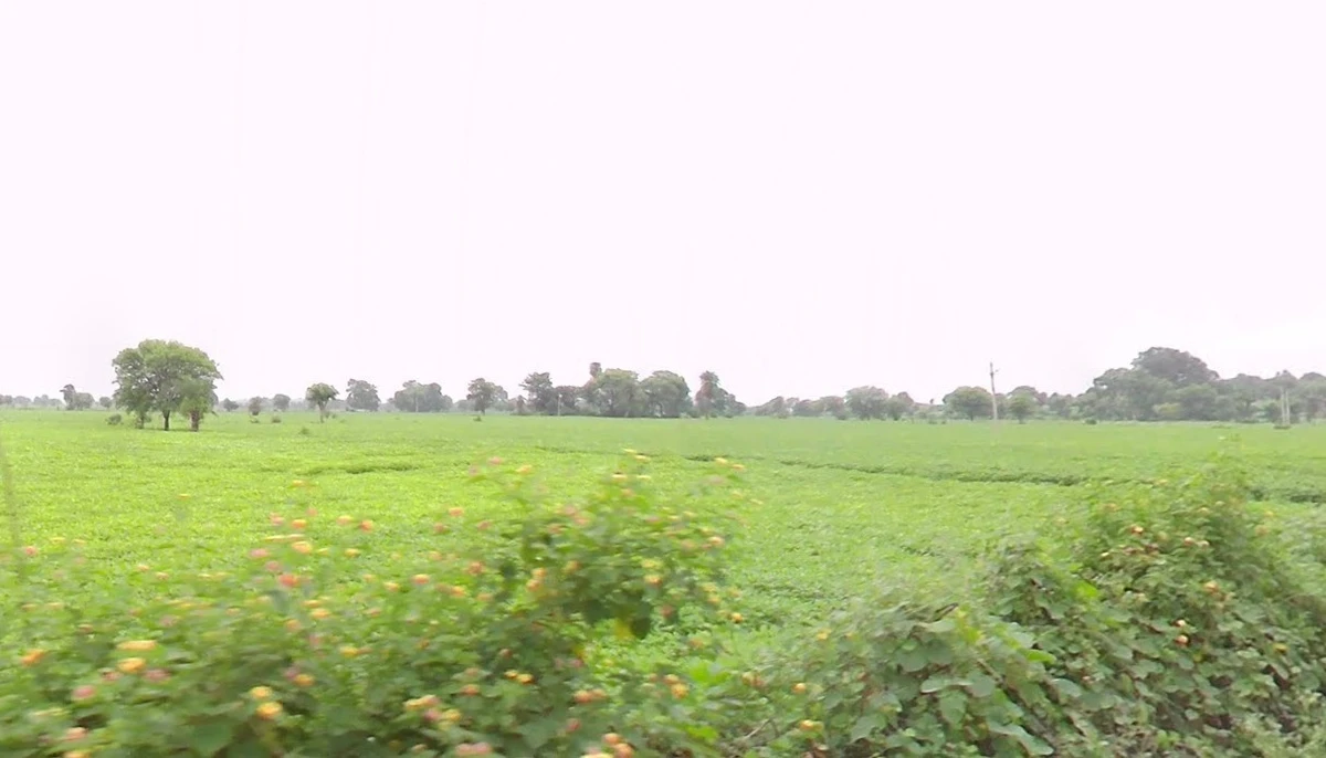 Karkeli, Madhya Pradesh 484661, India