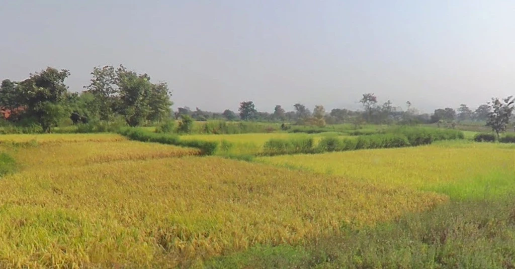 Darbha, Chhattisgarh 494115, India