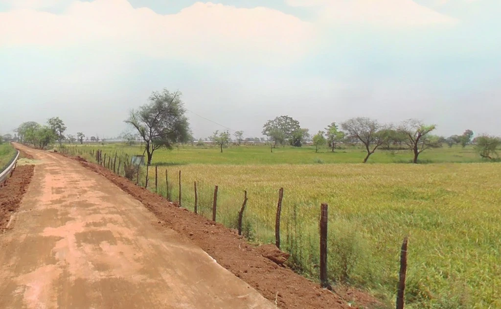 Pithora, Chhattisgarh 493551, India