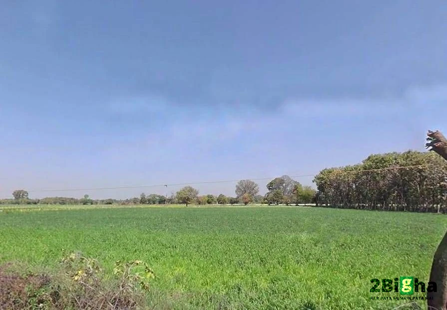 Rani Pipriya, Madhya Pradesh 487110, India