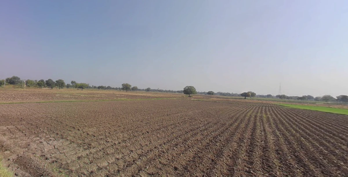 Ghaghosar, Gujarat 363421, India