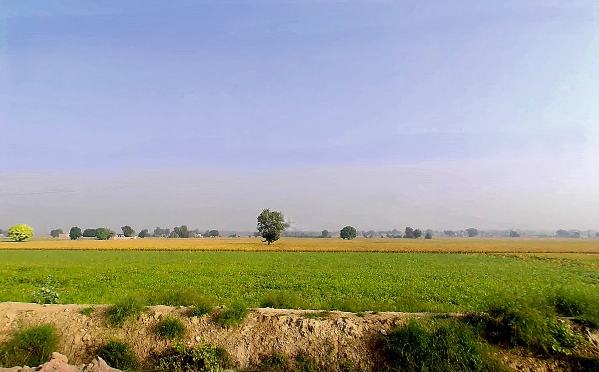Shekhu Khera, Haryana, India