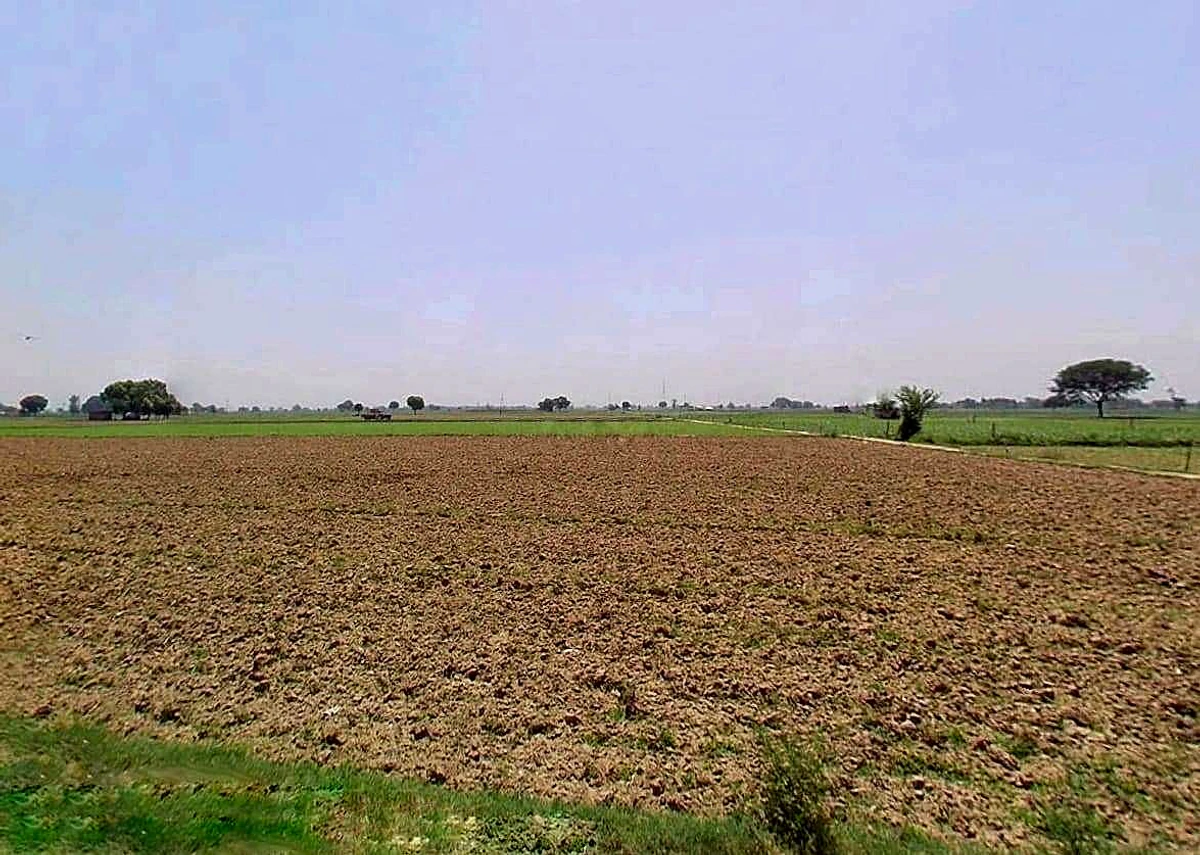 Shikarpur, Uttar Pradesh 203395, India