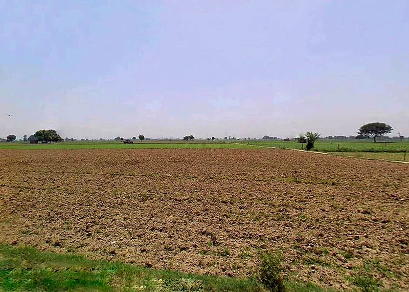 Shikarpur, Uttar Pradesh 203395, India preview 3