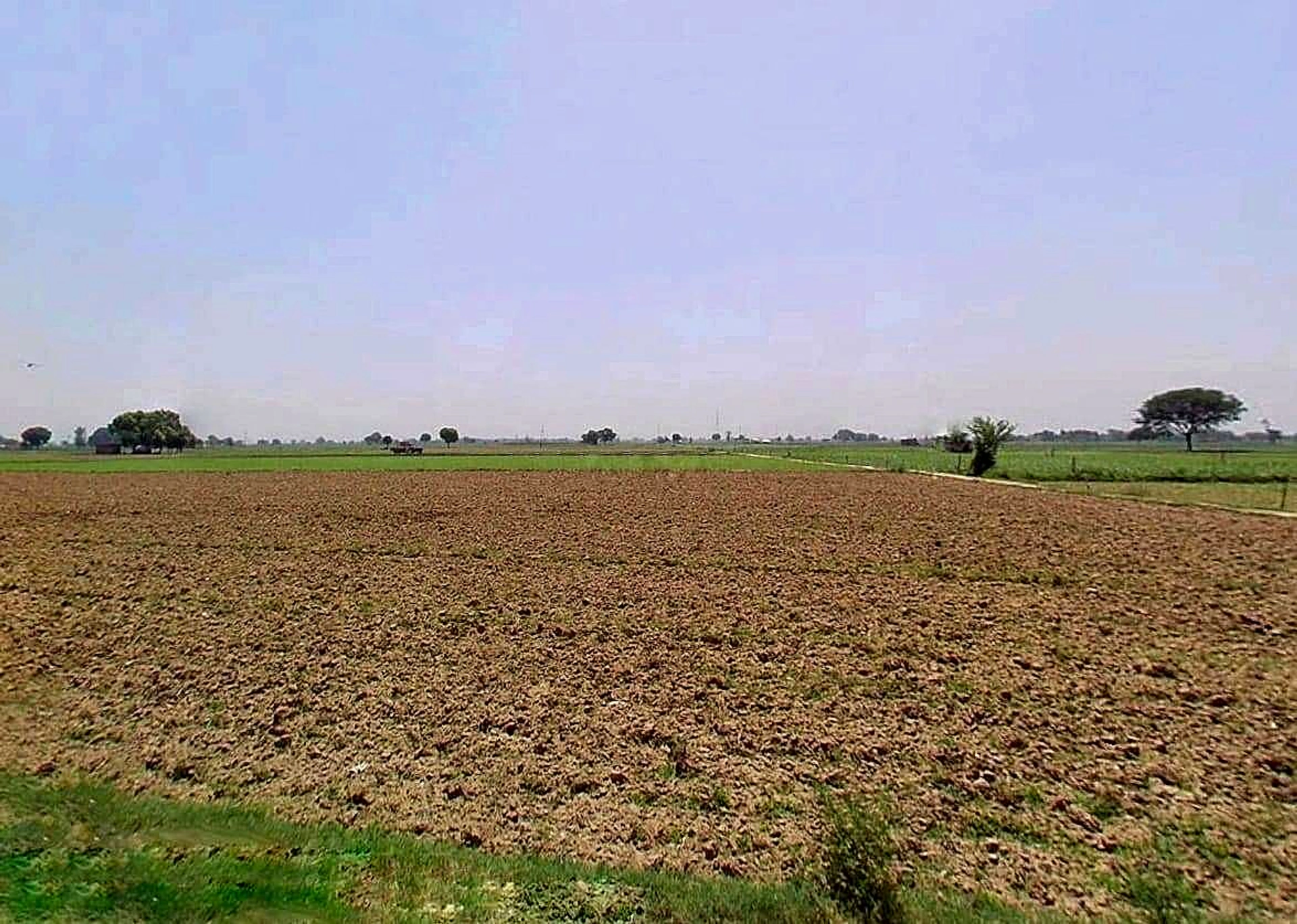 Shikarpur, Uttar Pradesh 203395, India