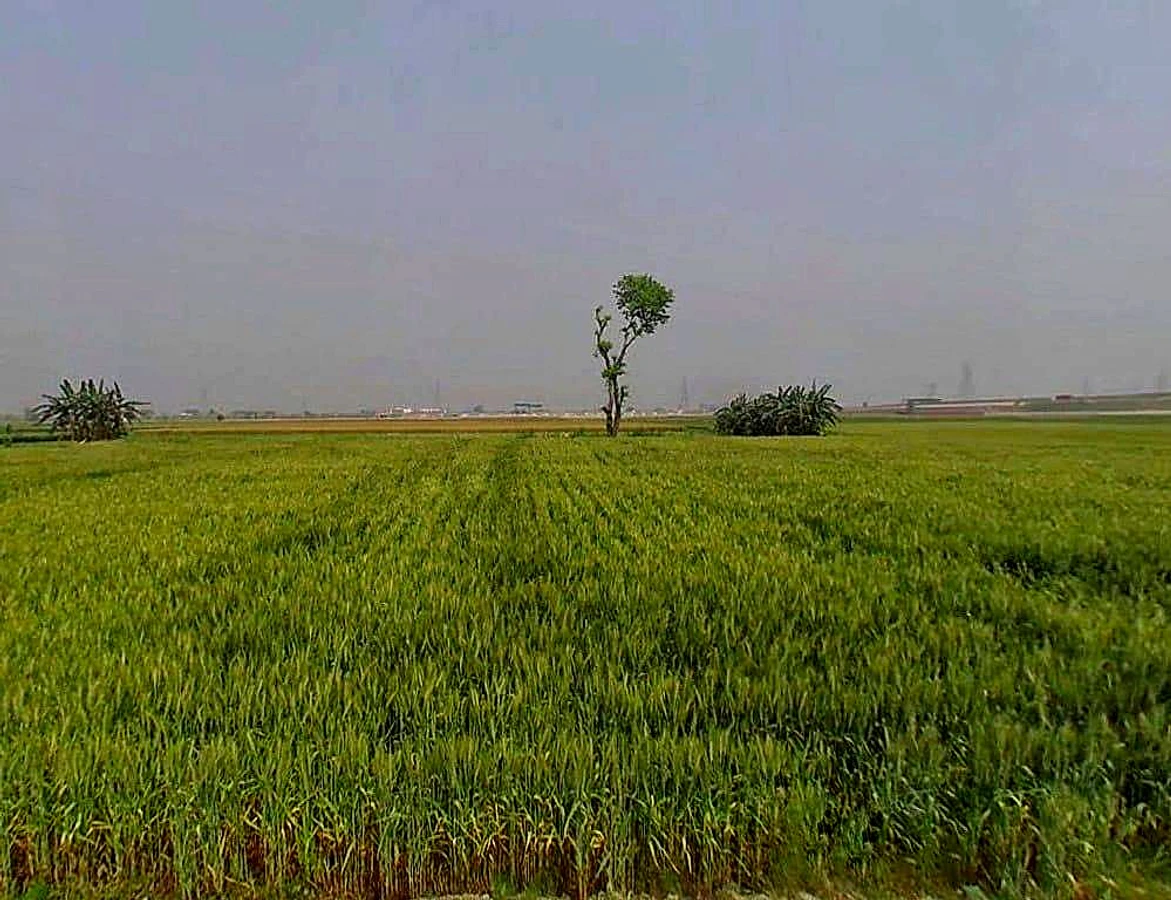 6QRQ+2Q, Bargaon, Rajasthan 324008, India