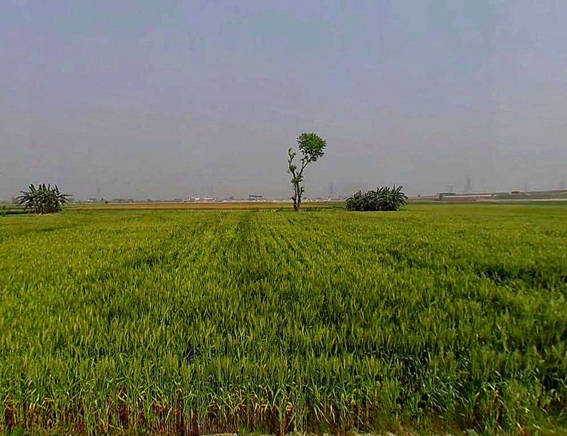 6QRQ+2Q, Bargaon, Rajasthan 324008, India