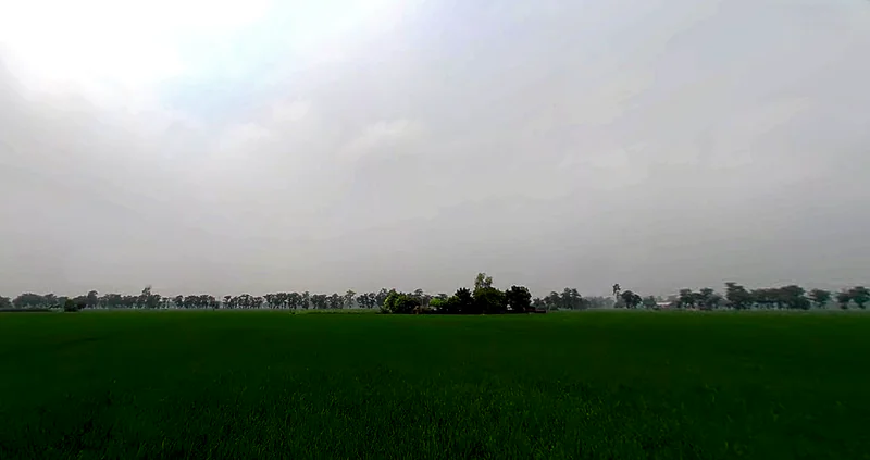 Shankar, Punjab 144042, India preview 2