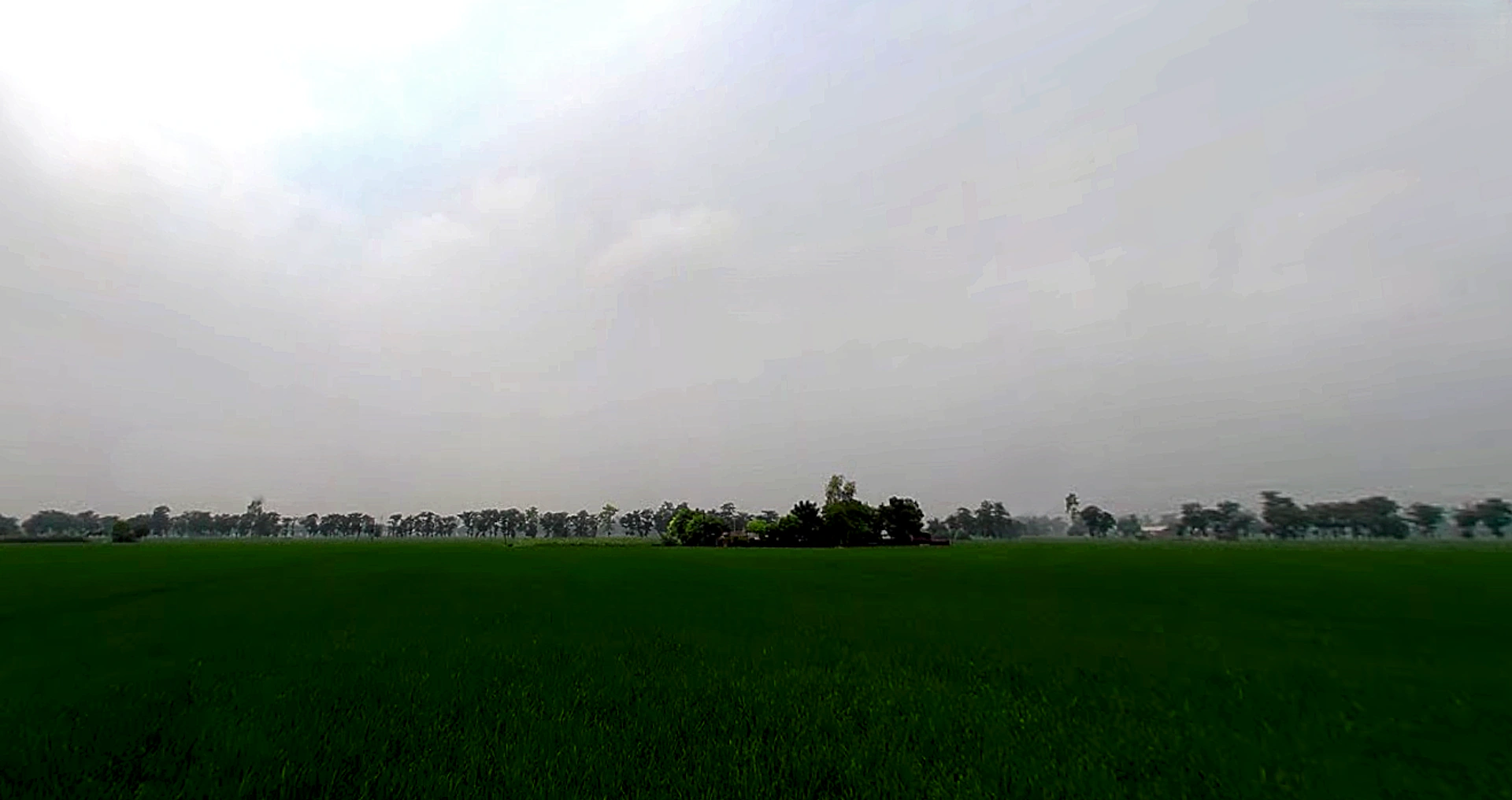 Shankar, Punjab 144042, India